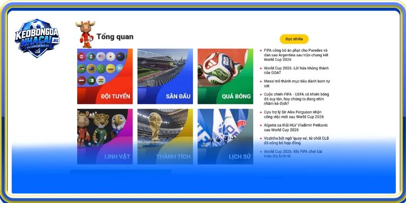 Website mang đến tin tức Thể thao chuyên nghiệp, ưu Việt