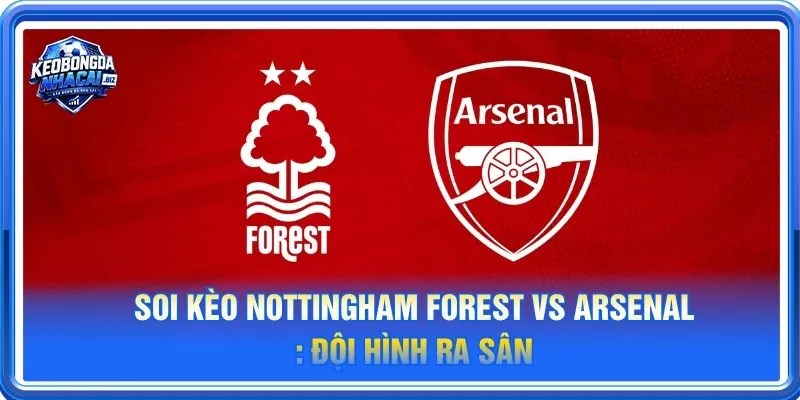 Cả Nottingham Forest vs Arsenal đều sẽ cho những tính toán riêng cho trận ra sân 18/10
